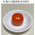 여자 170<b>이</b> <b>키</b> 커서 고민이라는 거 이해 간다vs안 간다