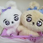 [군대] 방울들아 인형 추반좀,,