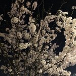 [댓글부탁해] 이게새벽<b>갬성</b>?