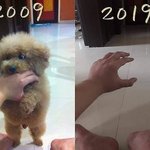 [댓글부탁해] <b>이사진</b> 너무 슬프지않냐…