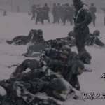 군백기 축하해<b>주자</b>
