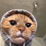 [댓글부탁해] 이상형은 진짜 별개인게
