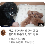 [댓글부탁해] 지역 차이점 얘기하자‼️‼️