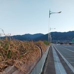 이게 뭐니뭐니