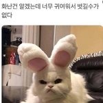 [댓글부탁해] 미국이나 캐나다 사는사람