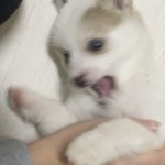 [댓글부탁해] 키크고 <b>덩치</b>큰남자 만나지마라...