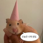 스토리에 나 생일이라고 올리는거 ㅂㄹ<b>임</b>?