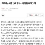 [스키즈] 스테이들 나 이거이제봤는데
