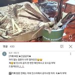 <b>응애</b>