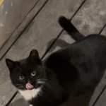 [댓글부탁해] 제발 옷 추천 해주라 ㅠㅠ