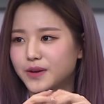 [모두드루와] 장원영 나무위키에 <b>본관</b> 없는 이유