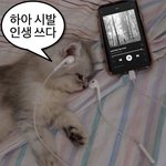 [조언부탁해] 이런 남친도 있는건가?