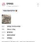 [댓글부탁해] 에이블리<b>리뷰</b>보는데 ㅈㄴ킹받네ㅋㅋ