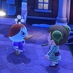 동물의<b>숲</b> 재밋<b>노</b> ㅋㅋ