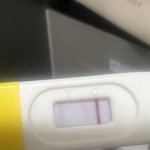 [댓글부탁해] 임테기 제발 <b>확인</b>해주세요ㅠㅠ