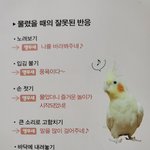 [드루와] 나 알바 구했는데 ㄹㅇ운 좋은듯