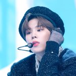 확신의 고양이상 어때