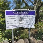 몇주째 계속 <b>설사</b>만 함