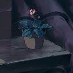 [드루와] 너네는 스스로 보기에 <b>효녀</b>다vs불<b>효녀</b>다