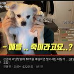 [드루와] 너네들은 10억 준다고 하면