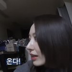 <b>사쿠라</b> 코가 왜이러지
