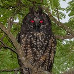 <b>대자연</b>은 무섭구나..