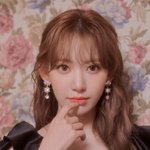 [댓글부탁해] 사쿠라는 어떤 <b>동물상</b> 같음?