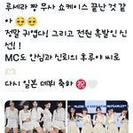 르<b>세르</b>핌 일본가서 뉴진스 따라했네