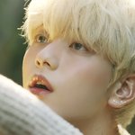 [TXT] <b>아기</b><b>토끼</b>썸네일에낚였다