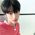 내 취향 <b>여우상</b>+고양이상 ㄹㅈㄷ소나무임