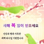 나 통통임 평균임 <b>마름</b>임?