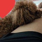어느순간 내 허벅지 애기<b>전용</b> 침대 됨ㅋㅣ