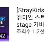 [스키즈] 무대 찢는 게 취미인 스키즈