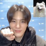 [NCT드림] 젠뭉이의 냥냥이 모음