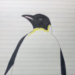 다들 내가 그린 <b>황제</b>펭귄 그림 보고 가