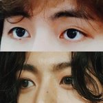 너네 눈취향은