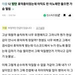[군대] 방울이들아