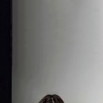 [댓글부탁해] 헬스장<b>pt</b> 무료체험 해본사람있음??