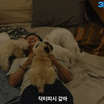 유연석, 차태현 +댕댕이 8마리 나오는 초<b>귀염</b> 영화ㅠㅠㅠ