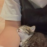 20살 말고 20대 초나 <b>중반</b> 여기 잇음??