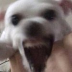 [NCT드림] <b>말레이시아</b>야 드림 내놔라