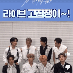 [스키즈] 라이브