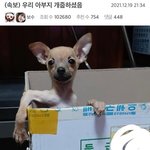[댓글부탁해] 민증 배경 <b>흰색</b> 별로임?