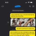 [댓글과조언] 강아지 애견미용이 제대로 안되었는데...이거 한번...