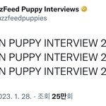 [엔하이픈] <b>퍼피</b> 인터뷰 나온다