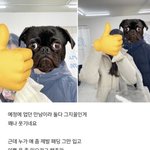 <b>망돌</b>이라서 사생이랑 연애해도 모르는 아이돌..