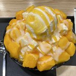 [댓글부탁해] 나혼자 <b>빙수</b> 조지러왔다