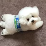 내기준 어그로 글 이거 넘사ㅌㅌㅋㅋㅌㅋㅋ