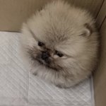 이거 <b>썸네일</b> 미친거 아니냐