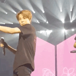 콘서트<b>때</b> 지민이 1<b>열</b>에서 찍힌거